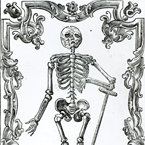 Skeleton with a Shovel (woodcut) (b / w photo)