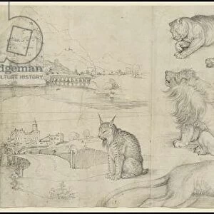 Sketches of Animals and Landscapes, 1521 (pen & black ink with blue