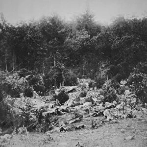 Slaughter Pen, Foot of Little Round Top, Gettysburg, July 1863 (b / w photo)