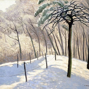 Snowy Landscape in Bois de Boulogne; Paysage de neige au Bois de Boulogne