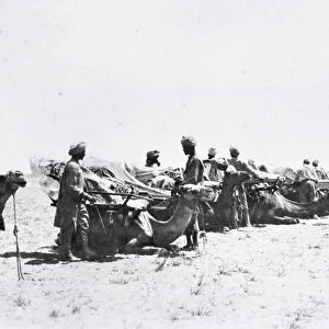 Soldiers with camels in Mesopotamia during World War One, from an album compiled by Lt