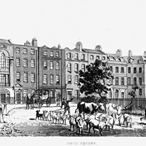 South West Corner of Soho Square, 1816 (engraving)