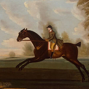 Sportsman, A Bay Hunter with Gentleman Up in a Wooded Landscape, 1773 (oil on canvas)