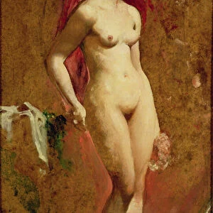 Standing Nude (oil on canvas)