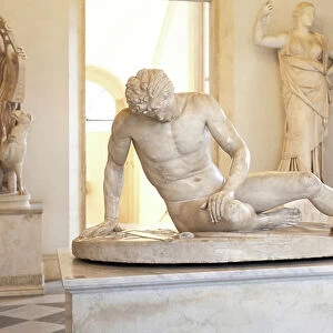 Statue of the Capitoline Gaul (marble)