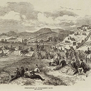 Steeplechase at Punchestown Races (engraving)