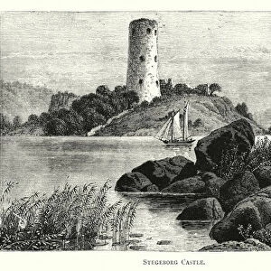 Stegeborg Castle (engraving)