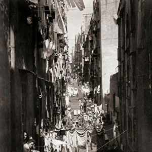 Street scene, Naples, Italy, 19th century (b / w photo)