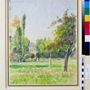 Study of the orchard of the artists house at Eragny, 1890 (drawing)