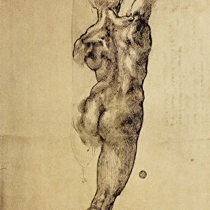Study of a virile figure seen from the back, drawing by Michelangelo. Casa Buonarroti, Florence
