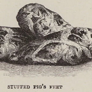Stuffed Pigs Feet (engraving)