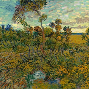 Sunset at Montmajour, 1888 (oil on canvas)