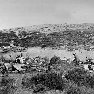 Suvla Bay, Gallipoli at Chocolate Hill, c. 1915 (b / w photo)