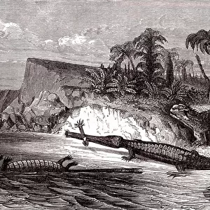The Teleosaurus and the Hyleosaurus, 1864 (engraving)
