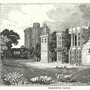Thornbury Castle (engraving)