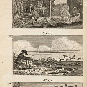 Trades in Regency England: basket making, geese plucking and whips