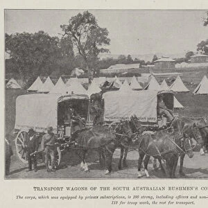 Transport Wagons of the South Australian Bushmens Corps for South Africa (b / w photo)