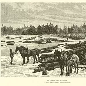 Transporting timber (engraving)