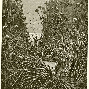 The Traveller Giraud Amid the Reeds of Lake Bangweolo (engraving)