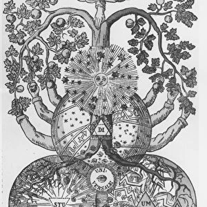 The Tree of knowledge of good and evil (engraving) (b / w photo)