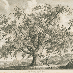 Tutbury - Wych Elm : etching, nd [c 1820] (print)