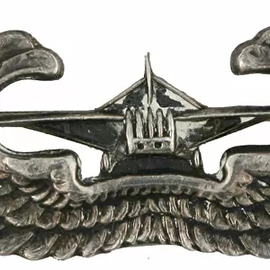 United States, Army Glider Qualification badge