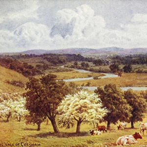 The Vale of Evesham (colour litho)