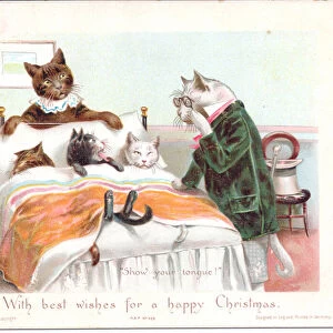 A Victorian Christmas card of a cat dressed as a doctor looking down at three kittens in
