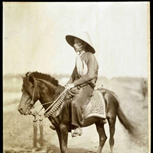 Vietnamese rider, late 19th century