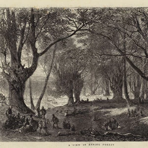 A View in Epping Forest (engraving)