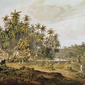 View near Point du Galle, Ceylon, engraved by Daniel Havell (1785-1826) published in 1809
