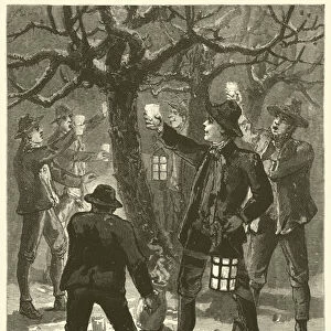 Wassailing the Apple-tree (engraving)