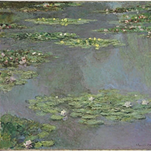 Water Lilies, 1905 (oil on canvas)