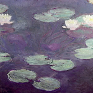 Waterlilies (oil on canvas)
