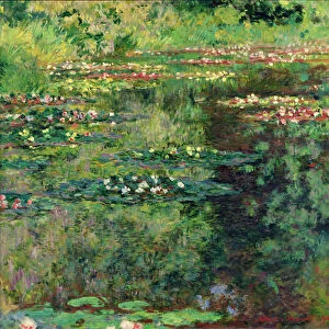 The Waterlily Pond, 1904 (oil on canvas)