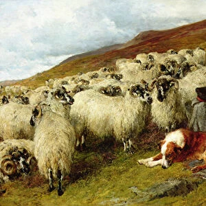 Weary but Watchful, 1891 (oil on canvas)