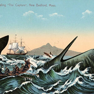 Whalers Harpooning a Sperm Whale Off New Bedford, Massachusetts, 1910 (screen print)