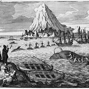 Whaling off the island of Jan Mayen. engraving early 18th century