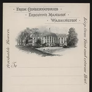 The White House, Washington DC, USA (litho)