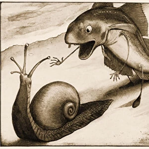 "Will you walk a little faster? said a Whiting to a Snail"
