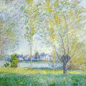 Willows at Vetheuil, 1880 (oil on canvas)