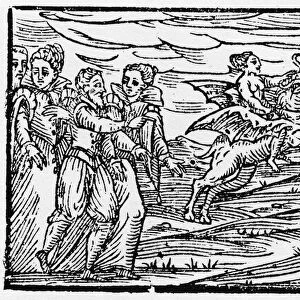 Witch riding a goat - "Compendium Maleficarum"