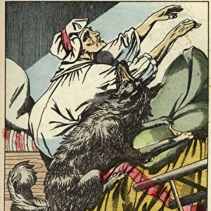 The wolf beats the grandmother of Little Red Riding Hood. Illustration of the tale "The Little Red Riding Hood"by Charles Perrault, 1697. In "Tales from the home for the little ones"