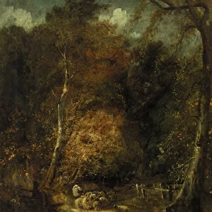 Wooded Landscape (oil on canvas)