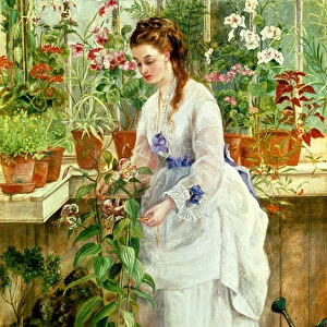 Young Lady in a Conservatory