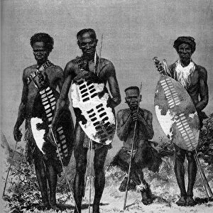Zulu warriors. Engraving in "The Illustrous World"