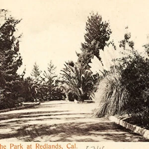 1905 California Redlands Park United States America