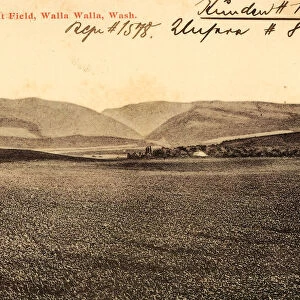 Agriculture Washington state Walla Walla 1906