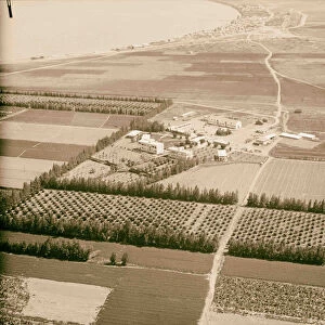 Air views Palestine Degania Jewish agricultural