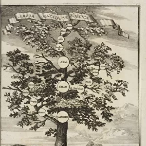 Arbor genealogiae Noeticae Athanasii Kircheri
